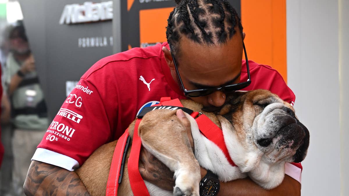Lewis Hamilton Pays Emotional Tribute on Roscoe's Death Anniversary