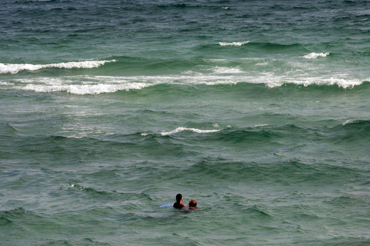 Man Killed In 'Horrific' Shark Attack At Popular Beach Sunday
