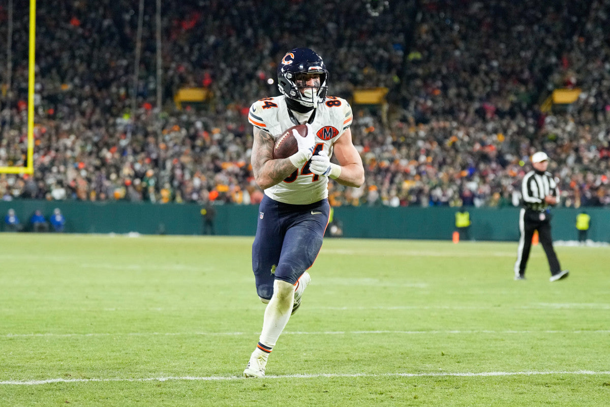 Fantasy Football Divisional Round TE Rankings