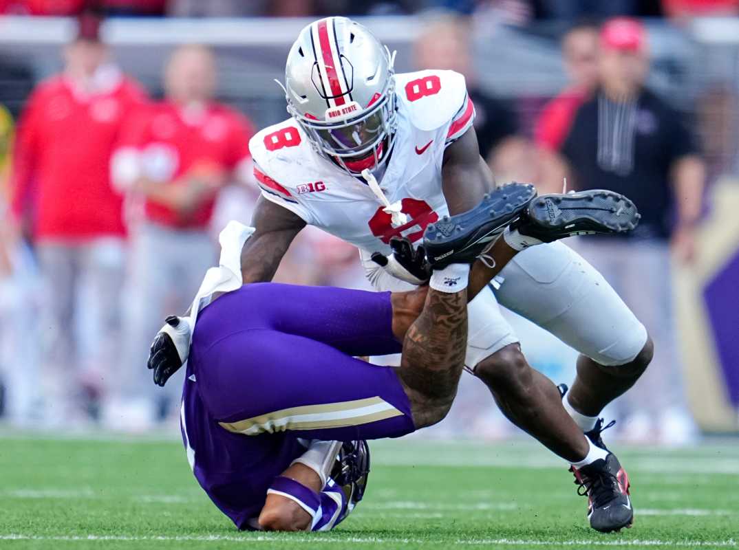 Arvell Reese NFL Draft Scouting Report