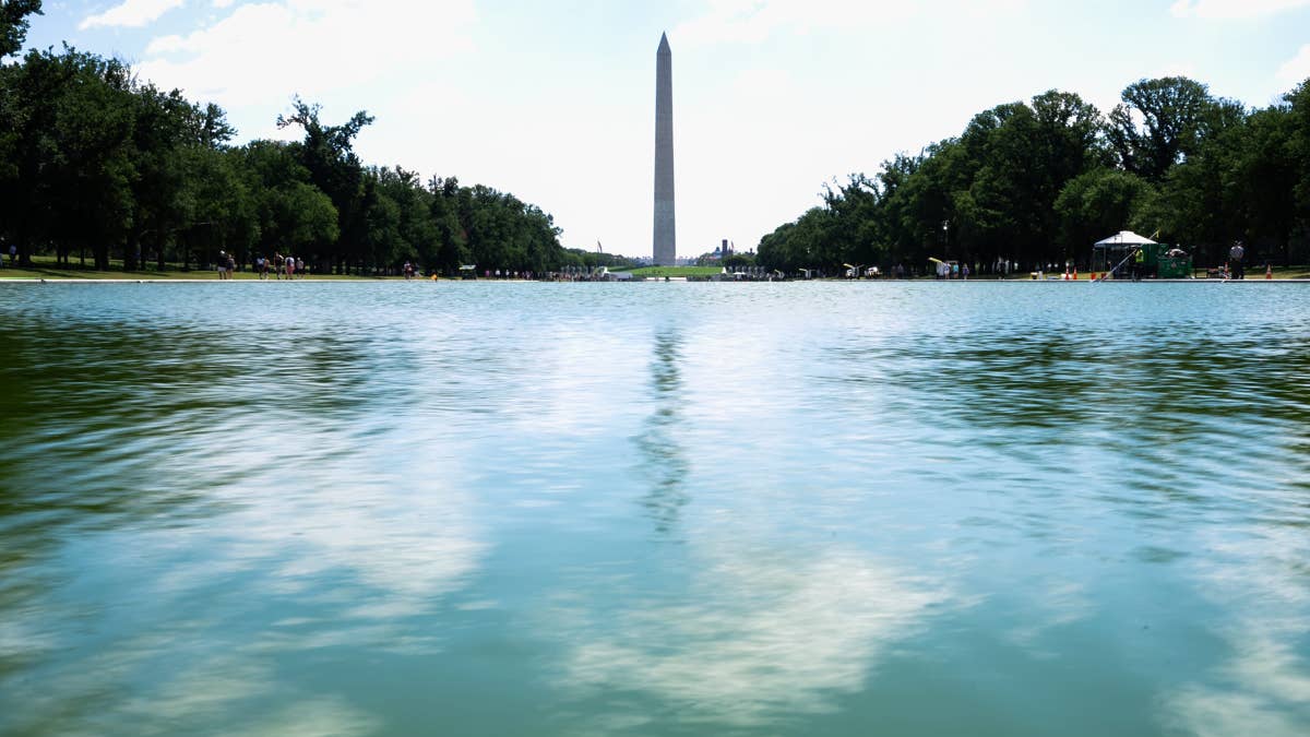 Former U.S. Olympian David Hearn Speaks Out Amid Reflecting Pool Arrest