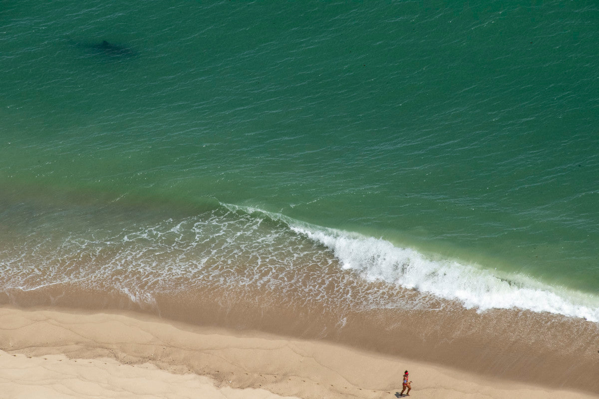 Warning Issued After Two 'Horrific' Deadly Shark Attacks