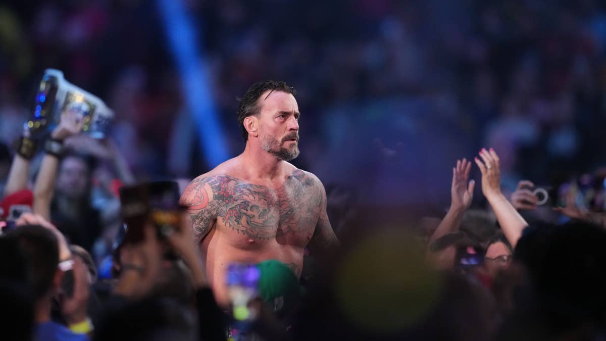 CM Punk Facing Second Accusation From WWE Fan
