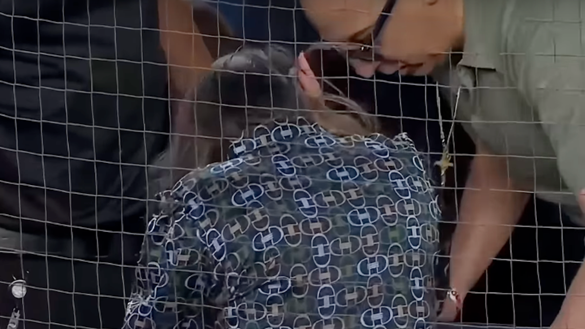 Yankees Fan Injured During Game Files $10 Million Lawsuit