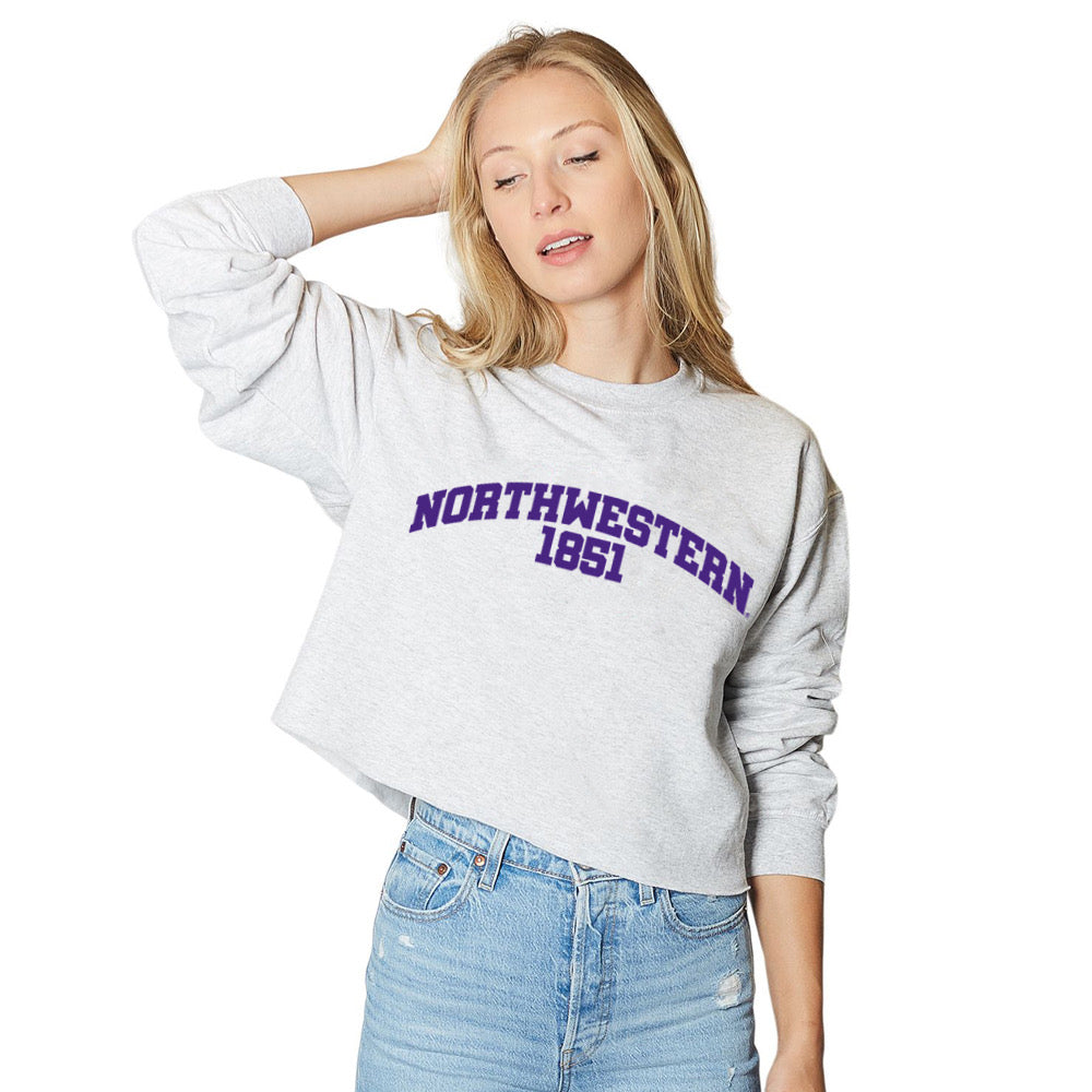 Northwestern Wildcats Established Gray Crewneck | lojobands