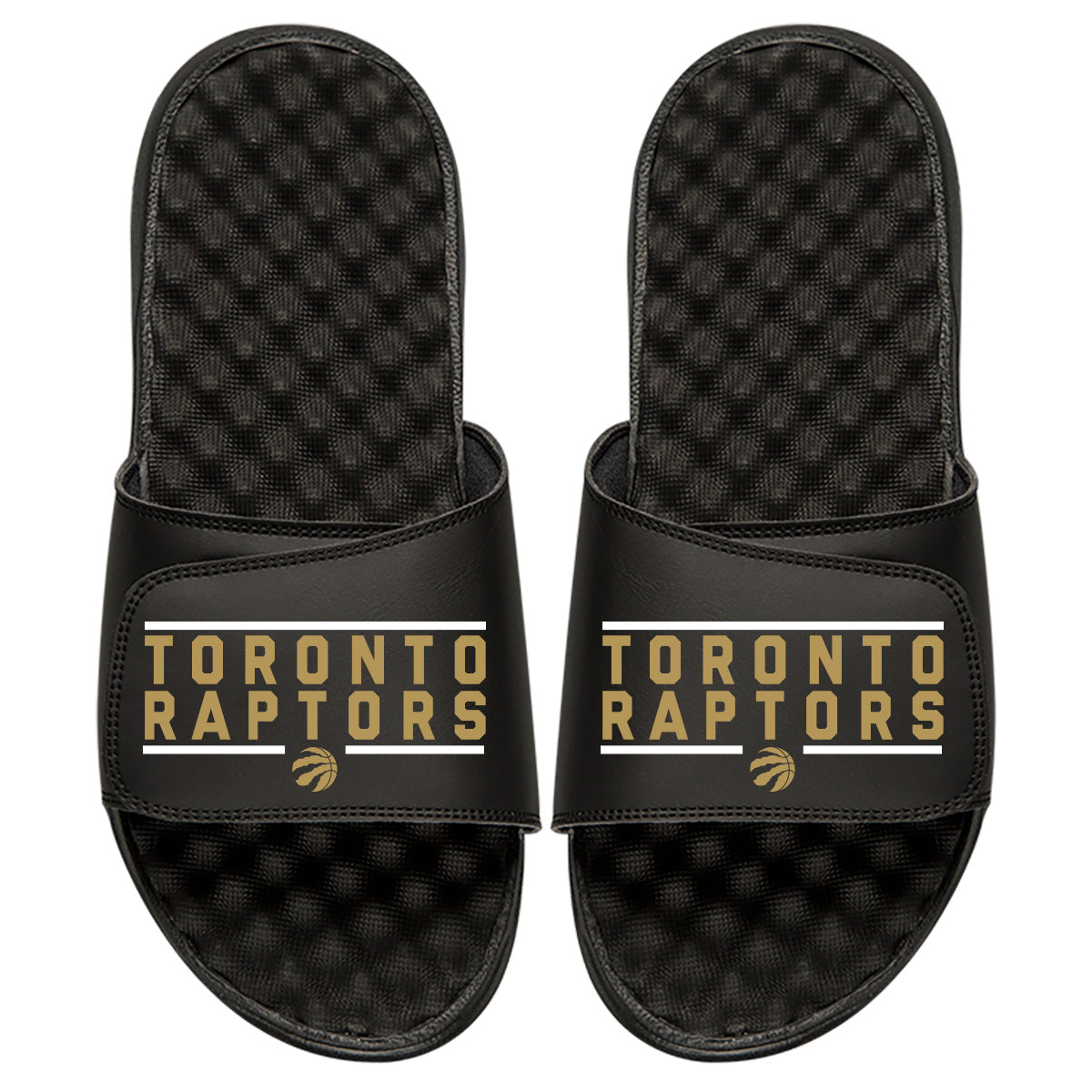 Toronto Raptors Bar Logo Slides 1