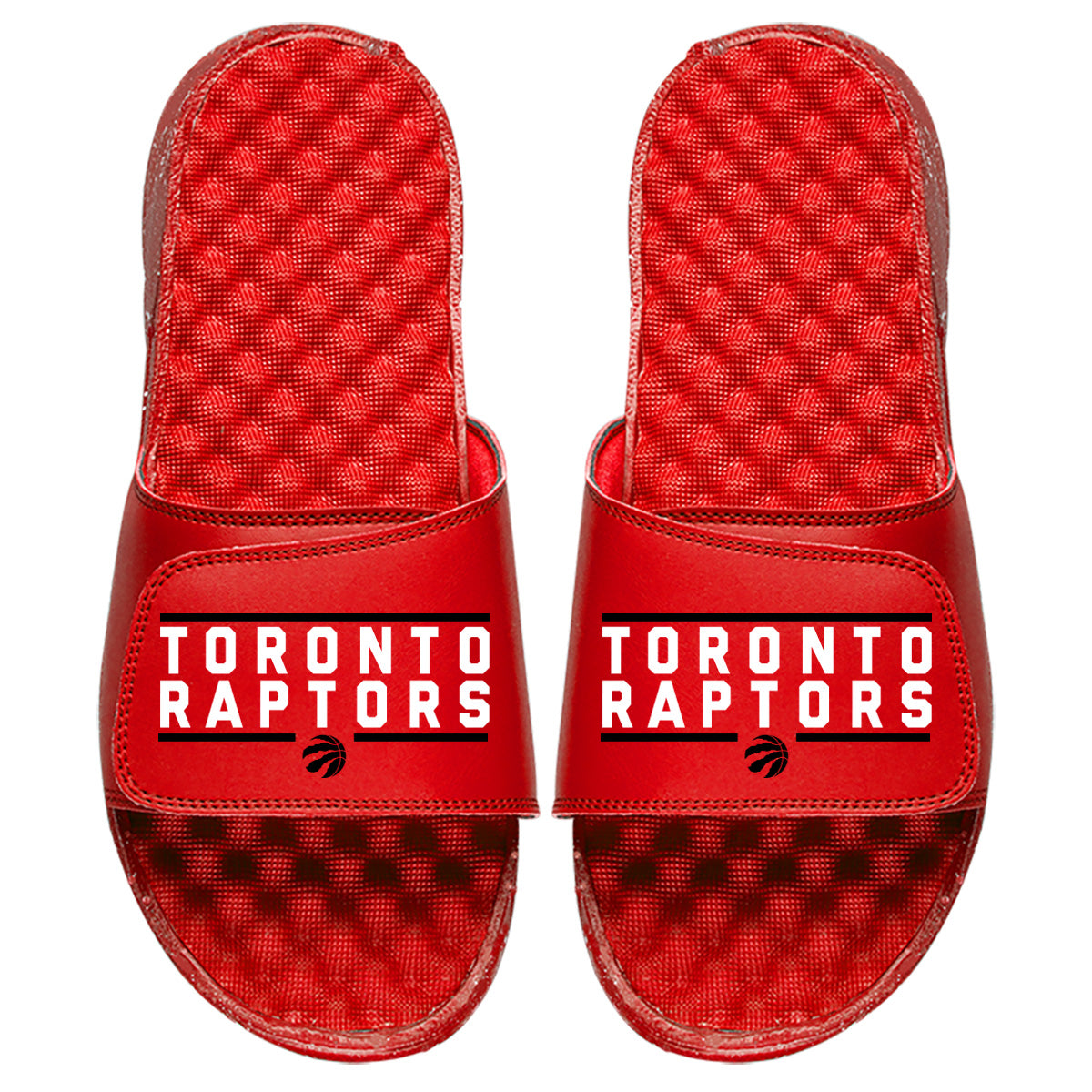 Toronto Raptors Bar Logo Slides 2