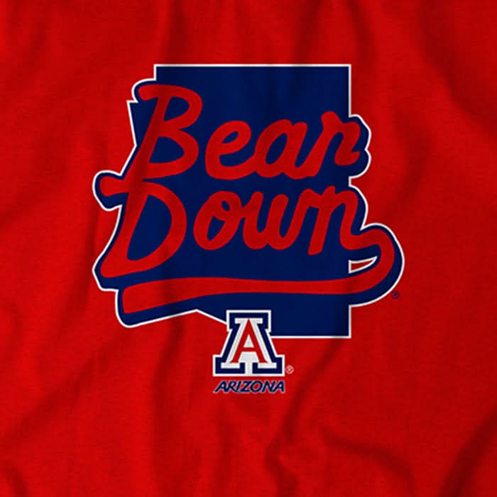 Arizona: Bear Down 4