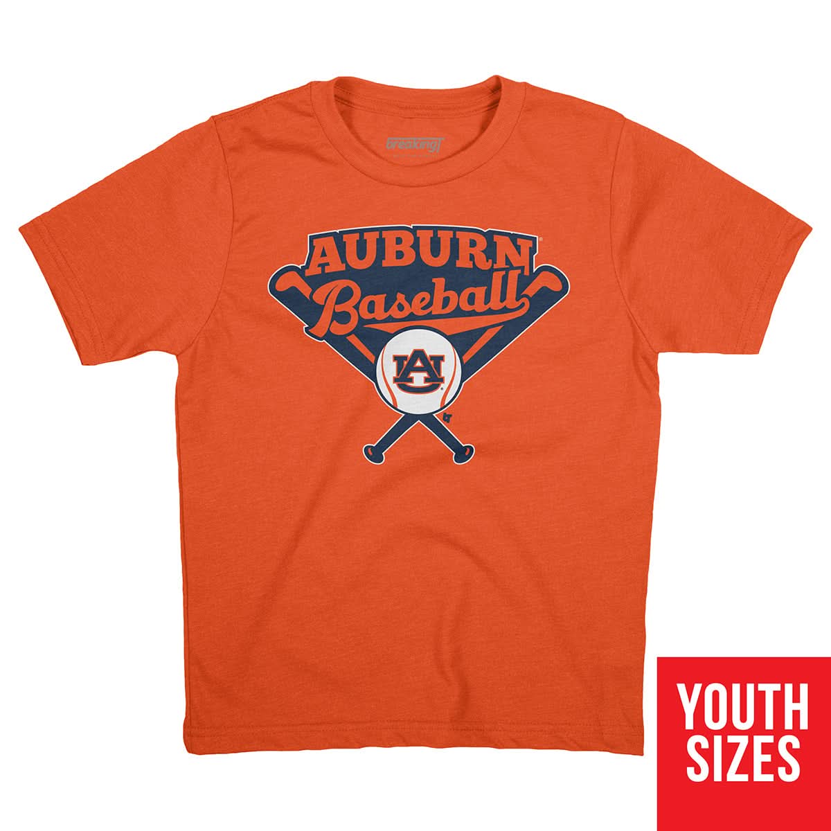 Auburn Baseball 3