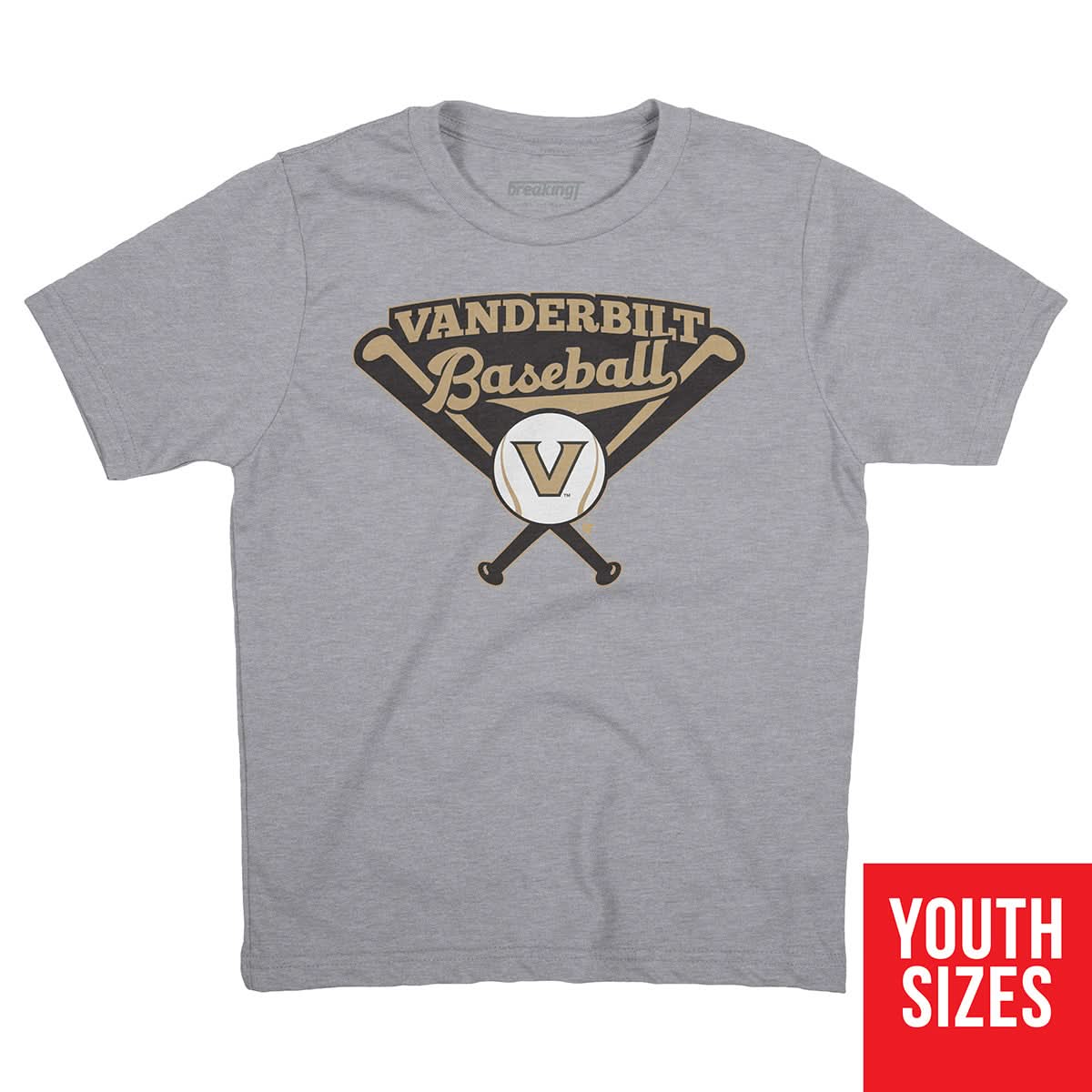 Vanderbilt Baseball 2