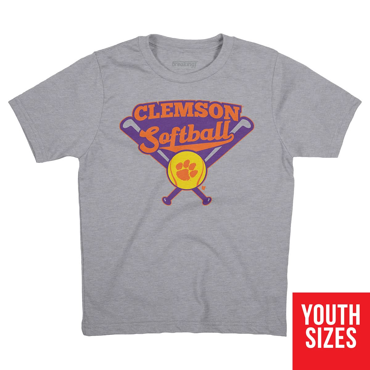 Clemson Softball 3