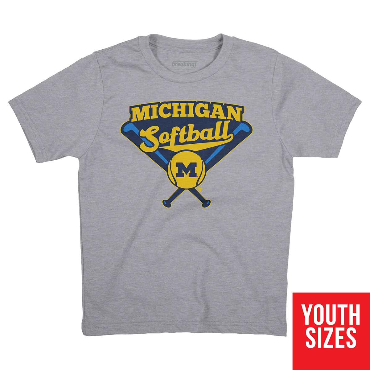 Michigan Softball 3