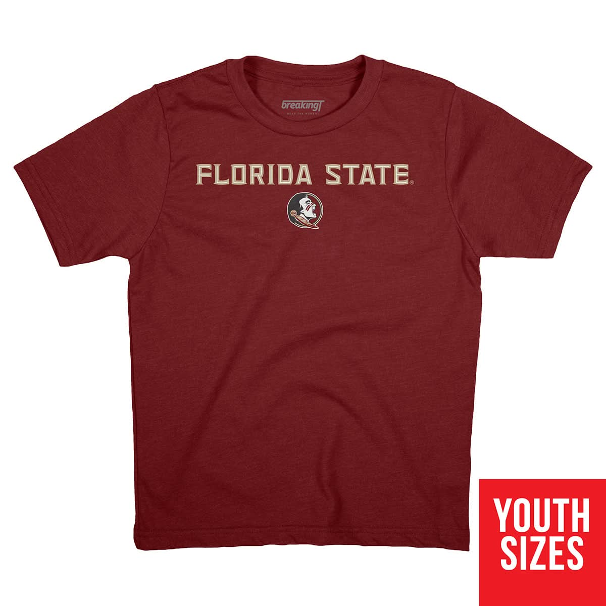 Florida State Seminoles: Wordmark 4