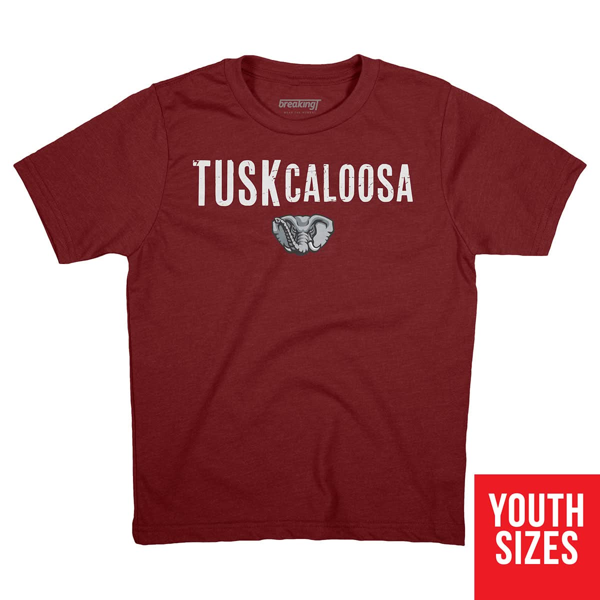 Alabama Crimson Tide Hometown Tee: TUSKcaloosa 3