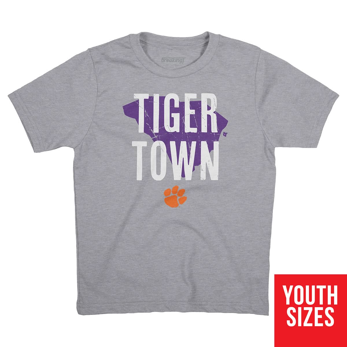 Clemson Tigers Hometown Tee: Tiger Town 5