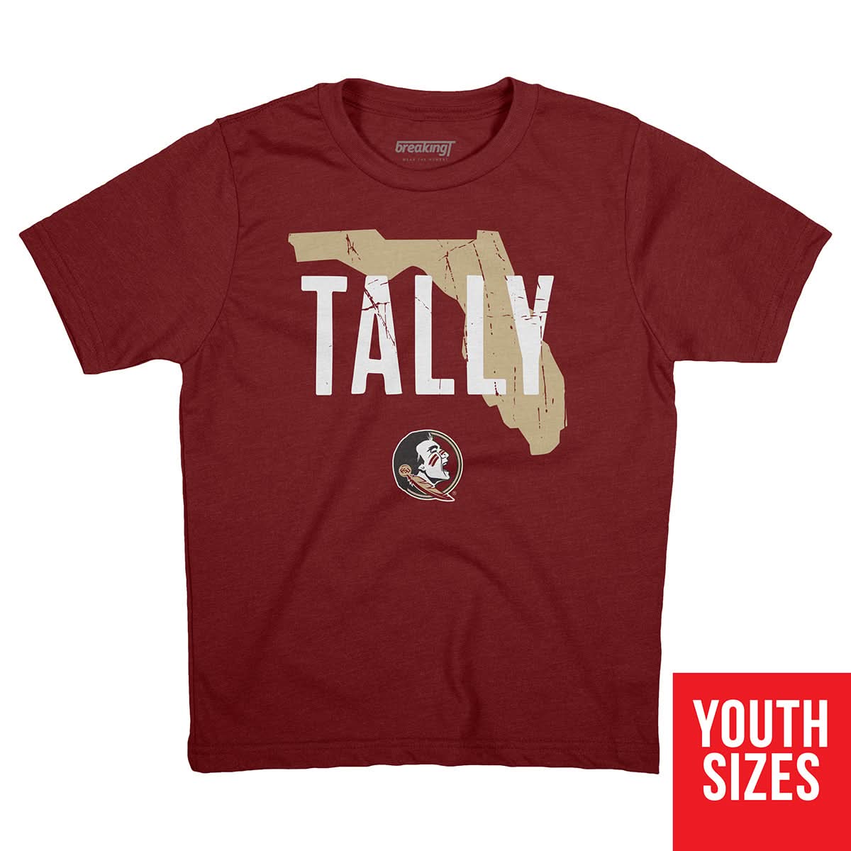 Florida State Seminoles Hometown Tee: Tally 2