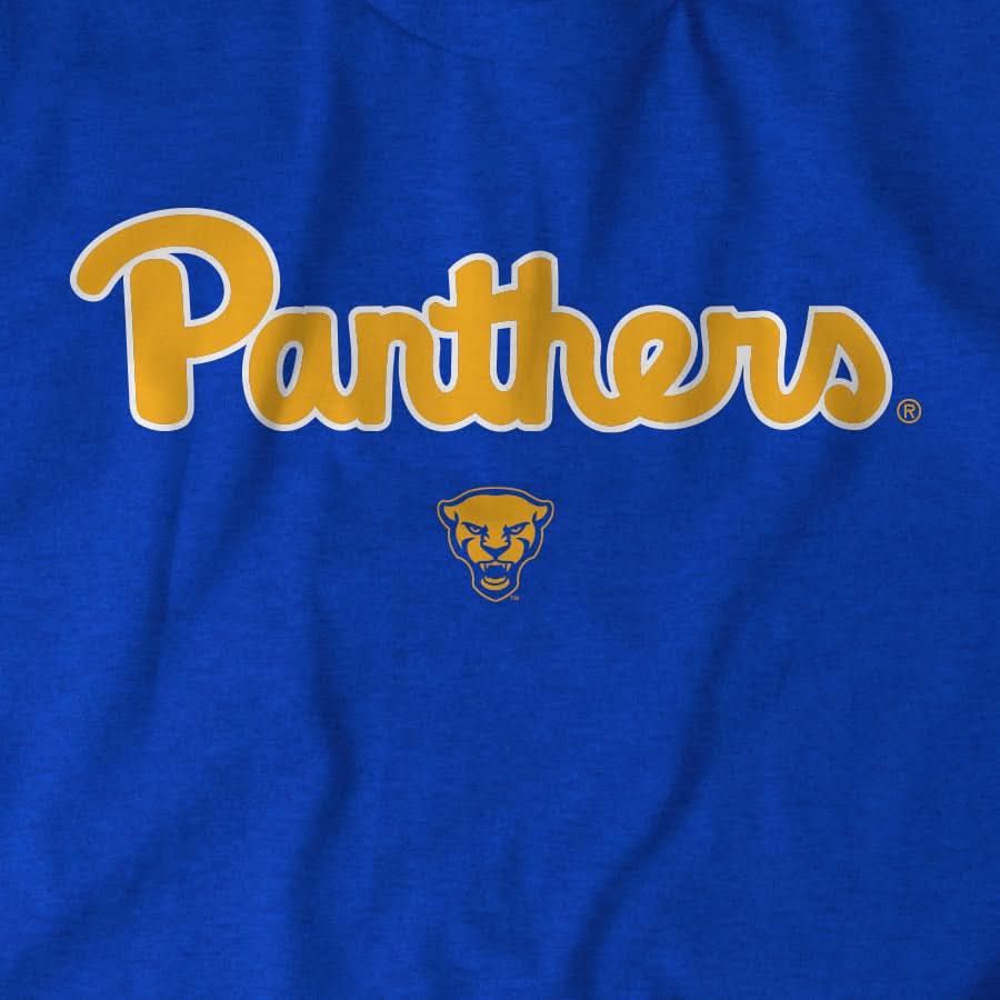 Pittsburgh Panthers: Wordmark 5
