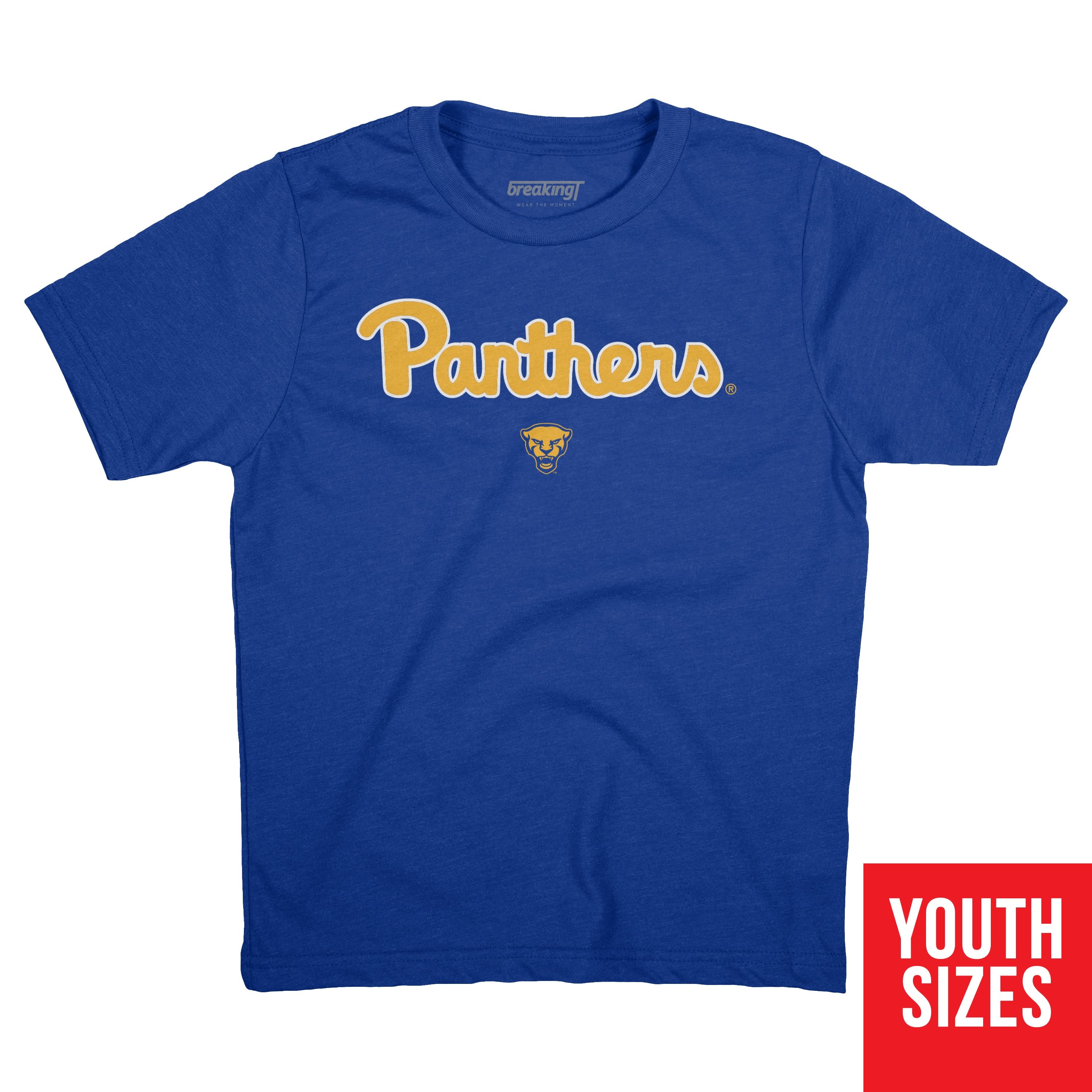 Pittsburgh Panthers: Wordmark 4