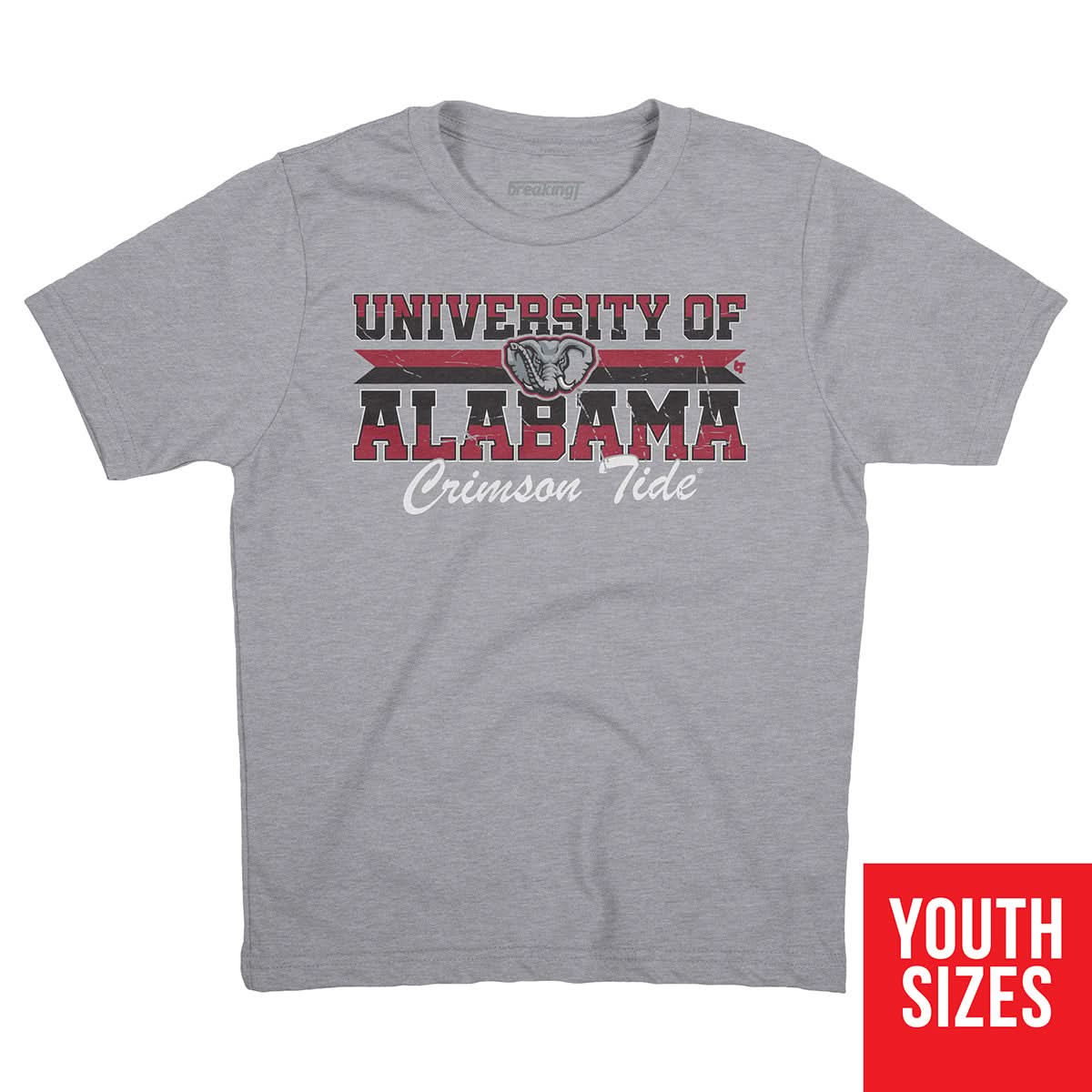 Alabama Crimson Tide: University Throwback 3