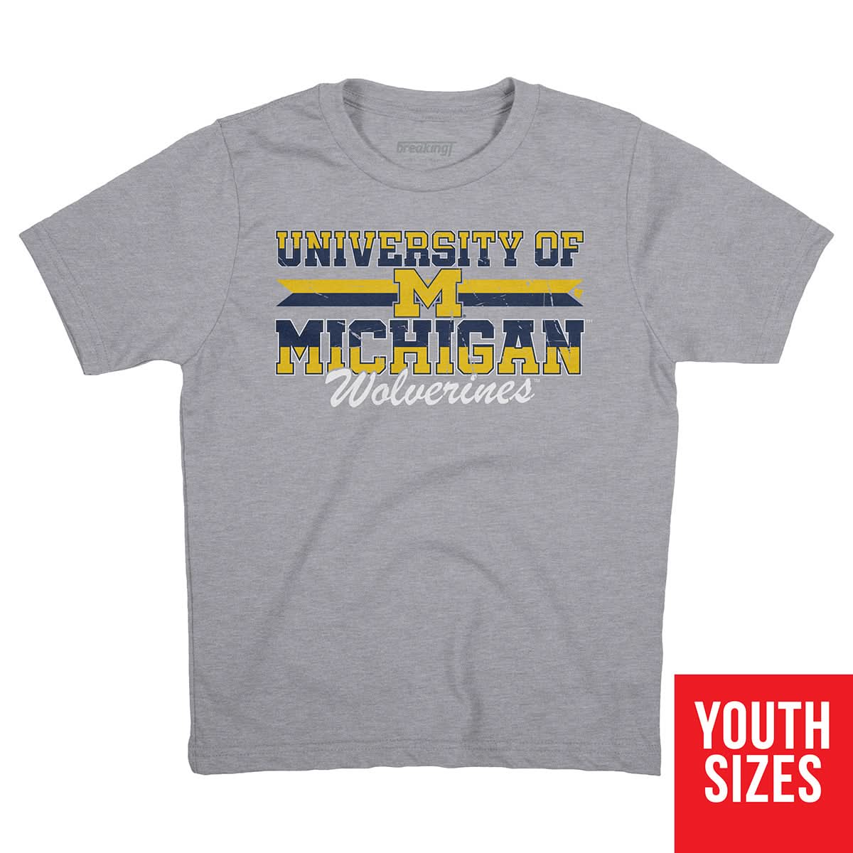 Michigan Wolverines: University Throwback 4
