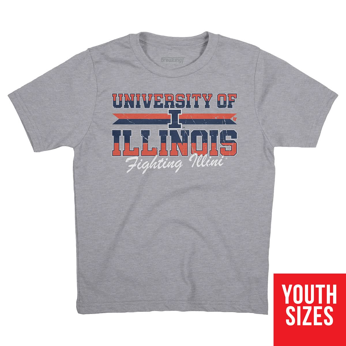 Illinois Fighting Illini: University Throwback 3