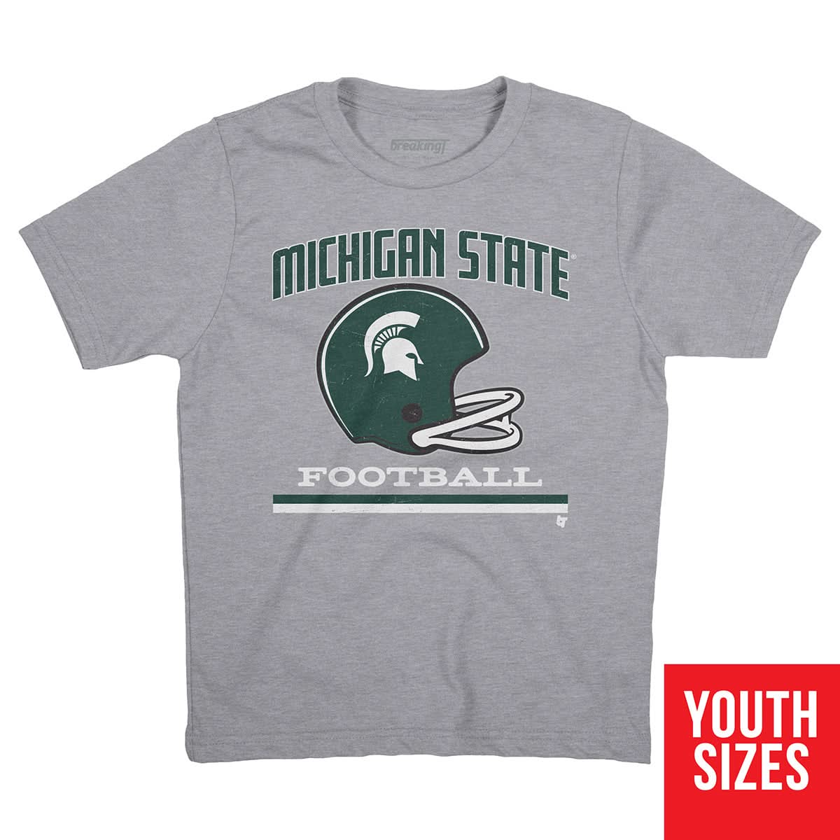 Michigan State: Vintage Football Helmet 3