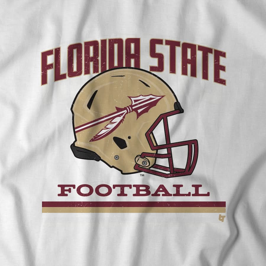 Florida State: Vintage Football Helmet 4