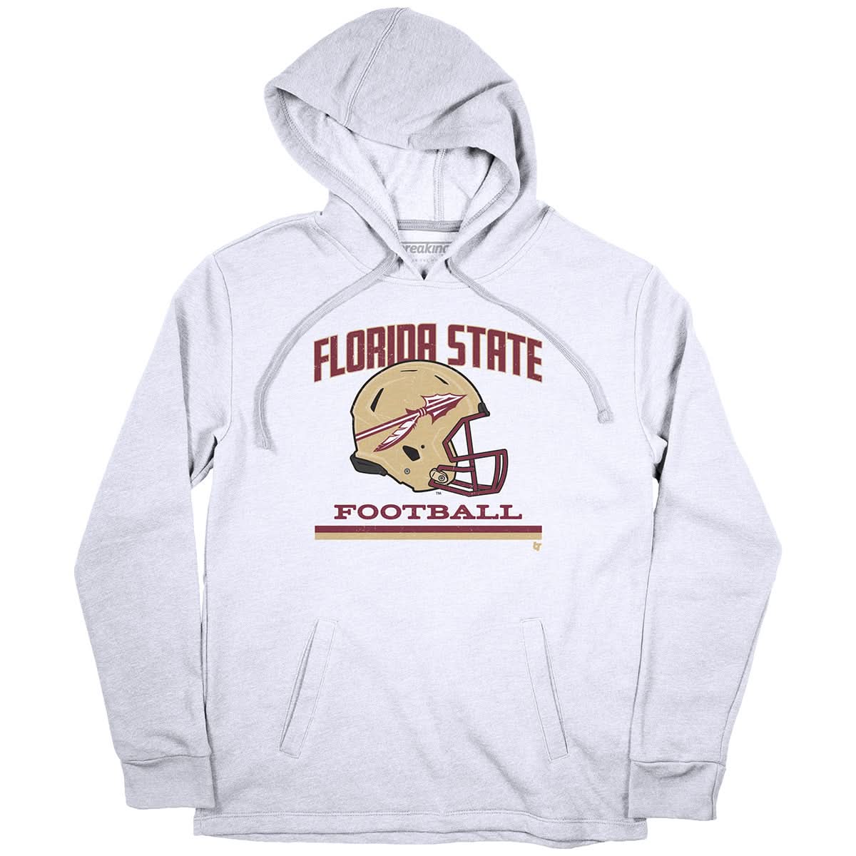 Florida State: Vintage Football Helmet 5