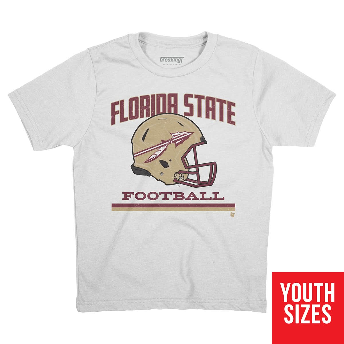 Florida State: Vintage Football Helmet 2