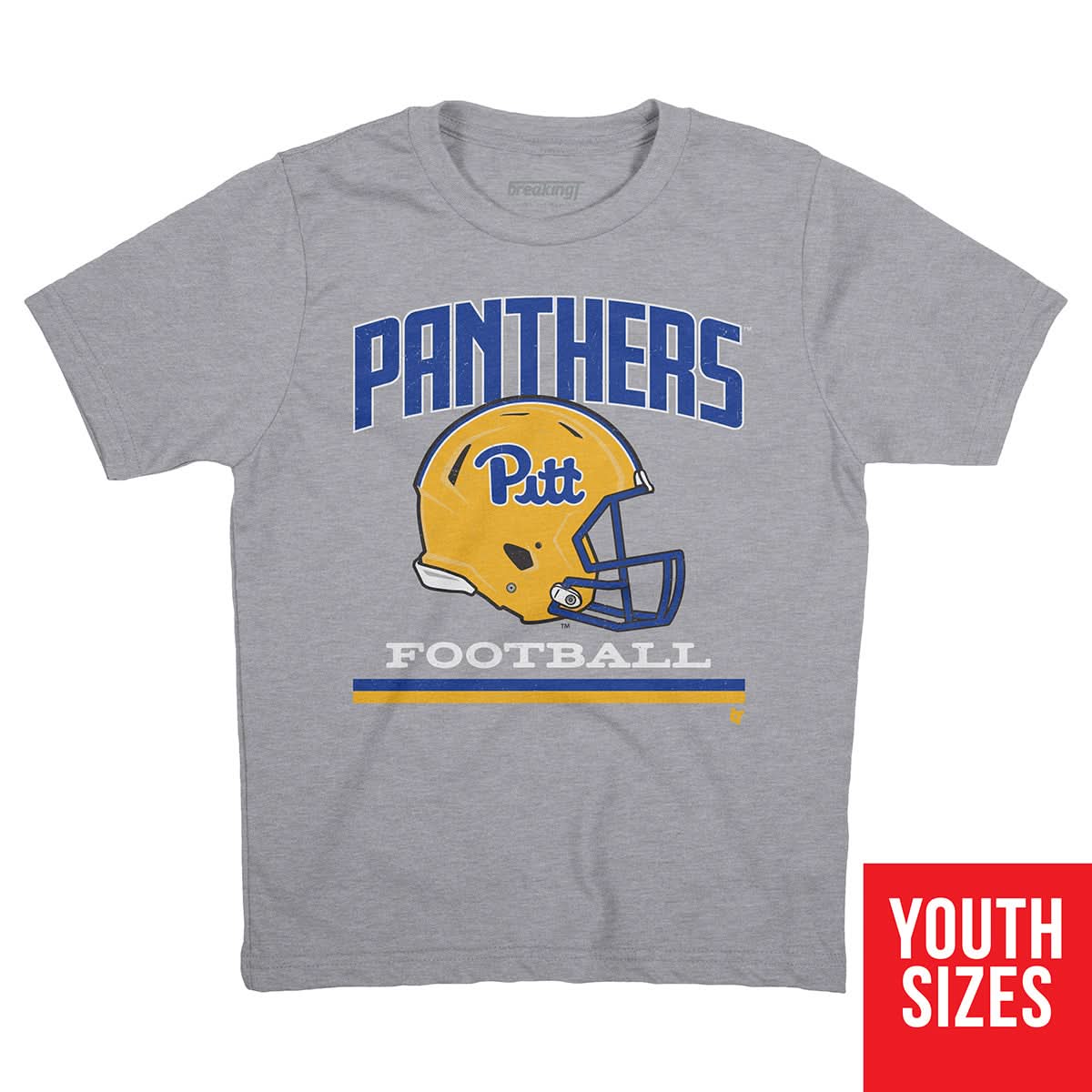 Pittsburgh: Vintage Football Helmet 5
