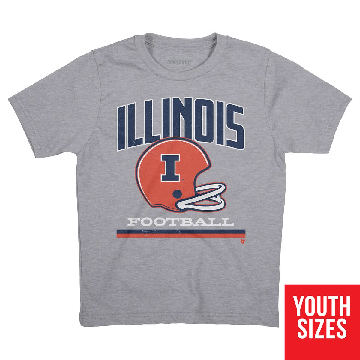 Illinois: Vintage Football Helmet 3