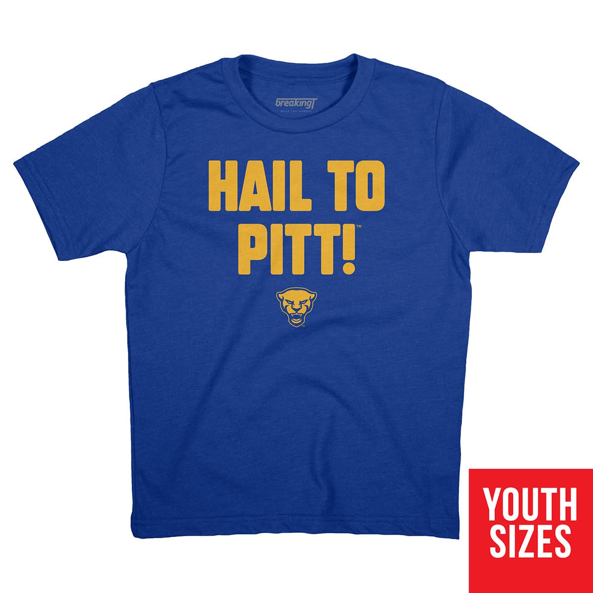 Pittsburgh Panthers: Hail to Pitt! 3