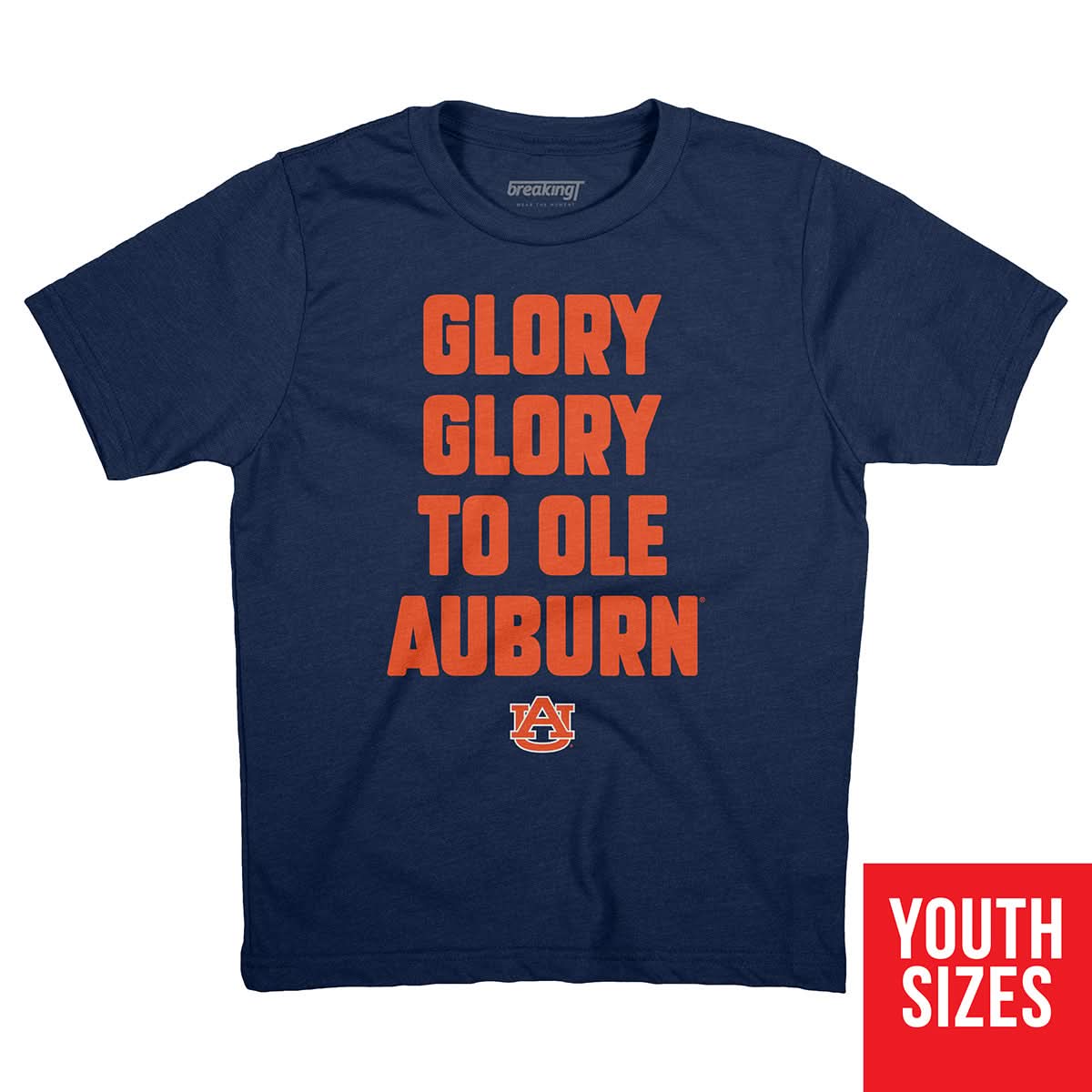 Auburn Football: Glory Glory to Ole Auburn 5