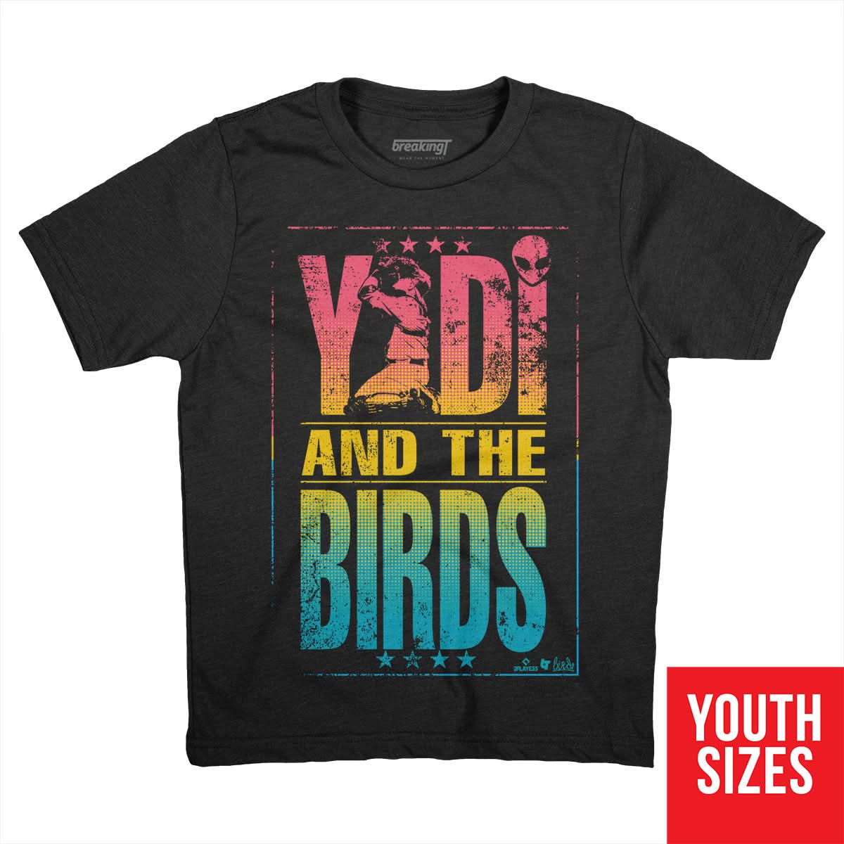 Yadier Molina: Yadi and the Birds 2