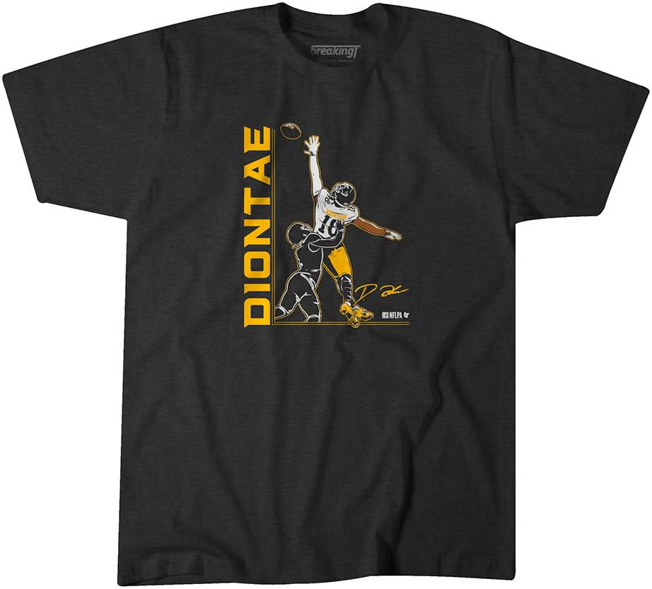 Diontae Johnson: One Hand 1