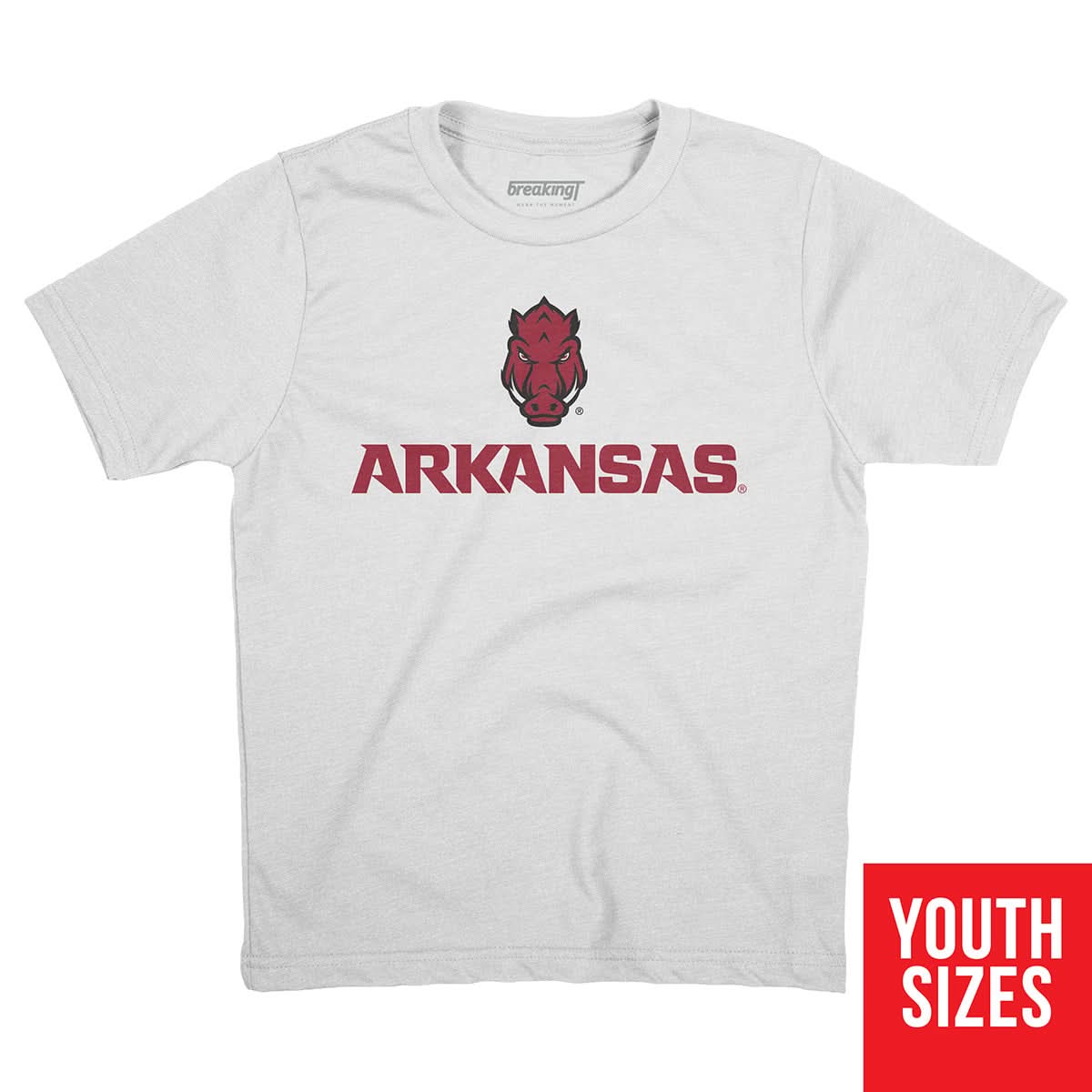 Arkansas Razorbacks: Wordmark 5