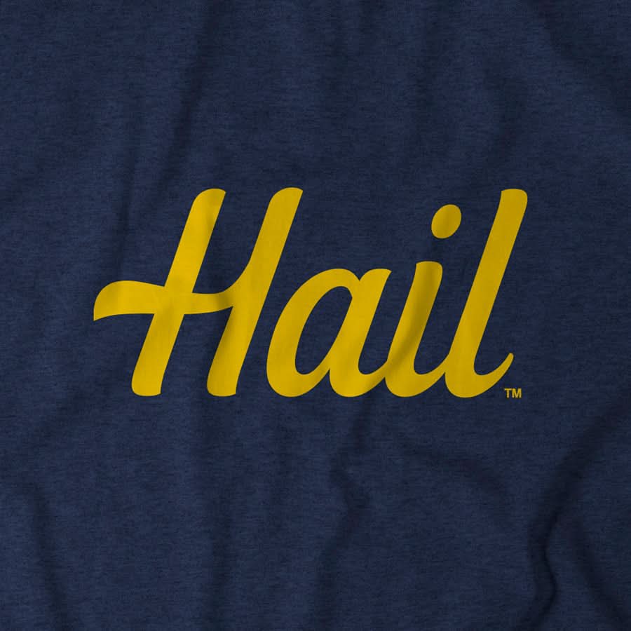 Michigan: Hail 7
