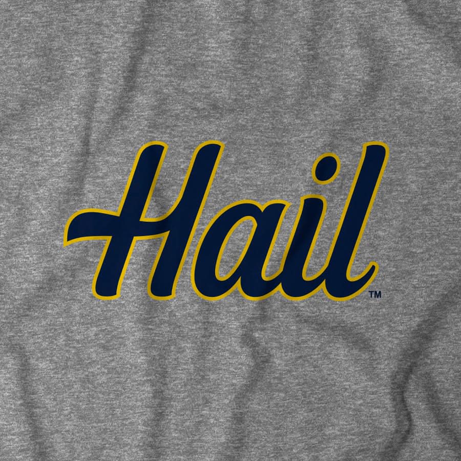 Michigan: Hail 8