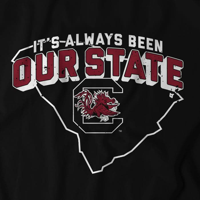 South Carolina: Our State 4