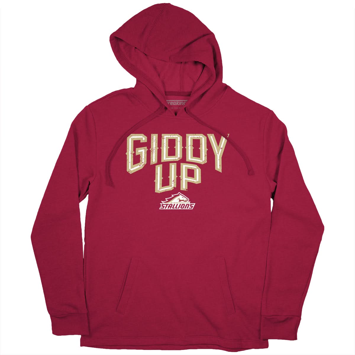 Birmingham Stallions UFL: Giddy Up 2