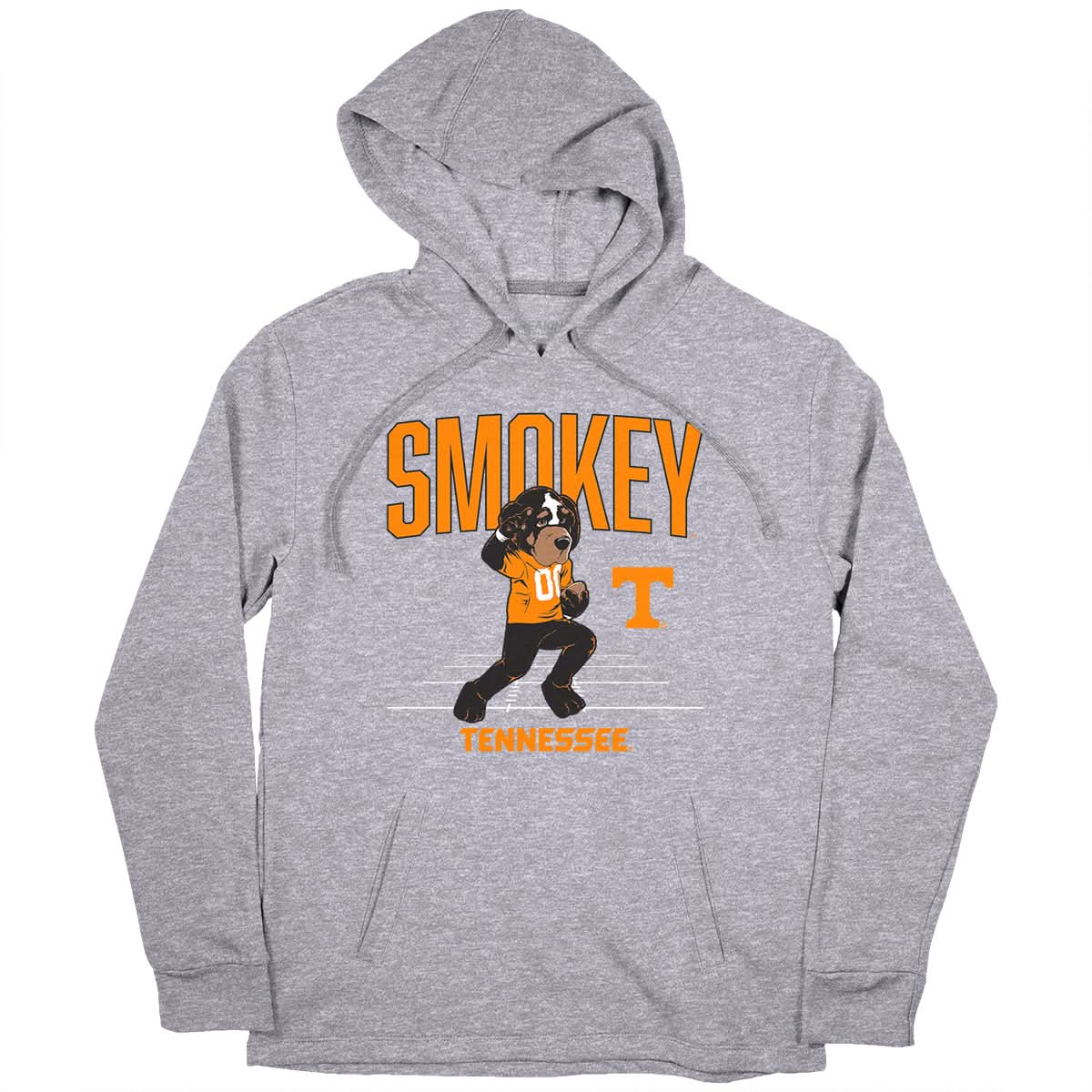 Tennessee Vols Football: Smokey Mascot 3