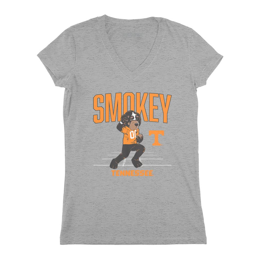 Tennessee Vols Football: Smokey Mascot 4
