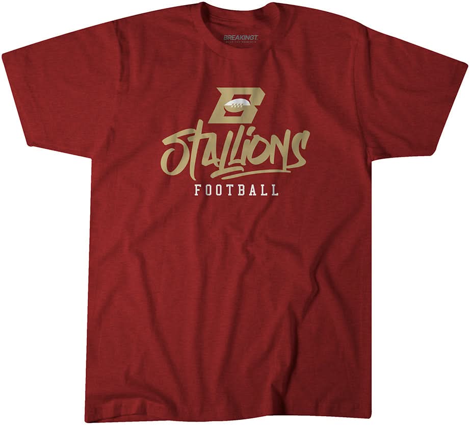 Birmingham Stallions: Stylized Text 1