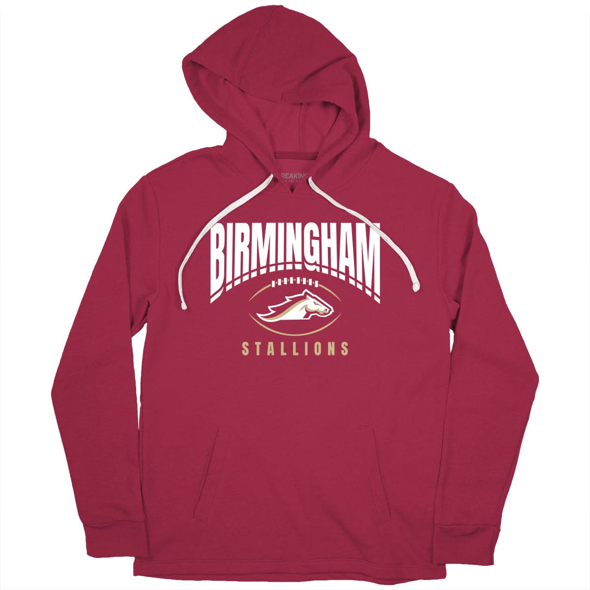 Birmingham Stallions: Football Outline 2