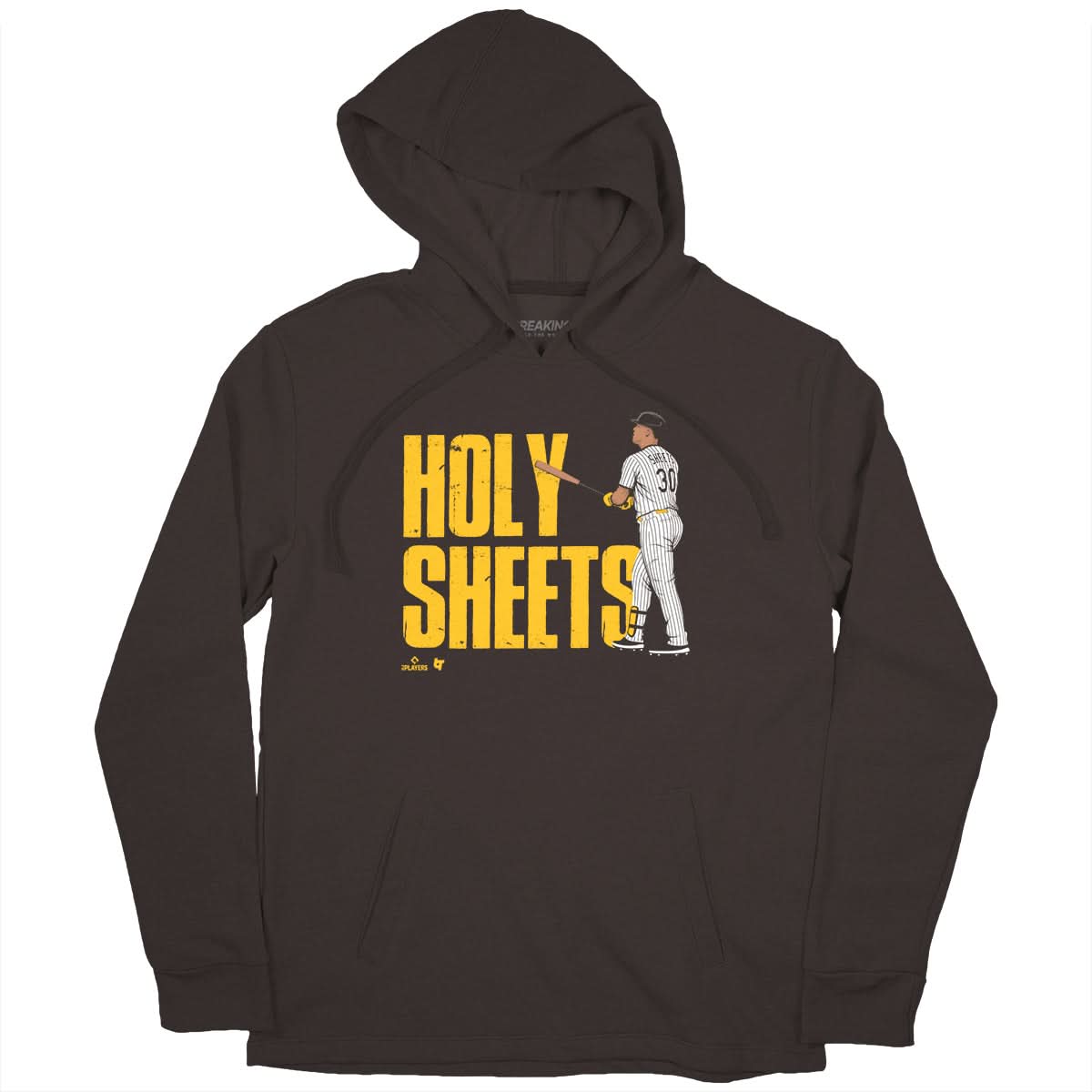 Gavin Sheets: Holy Sheets San Diego 2