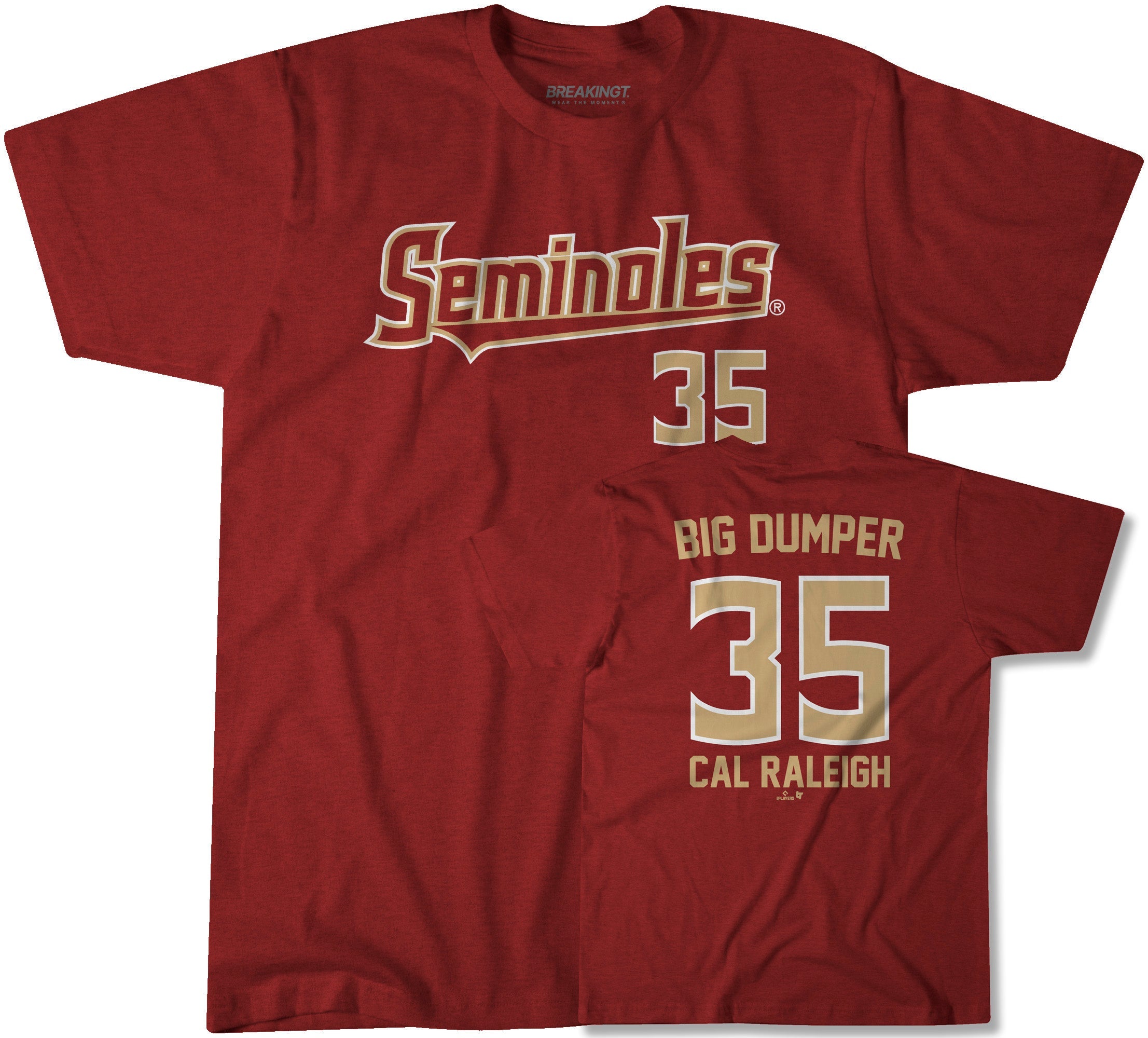 Florida State Baseball: Cal Raleigh 35 1