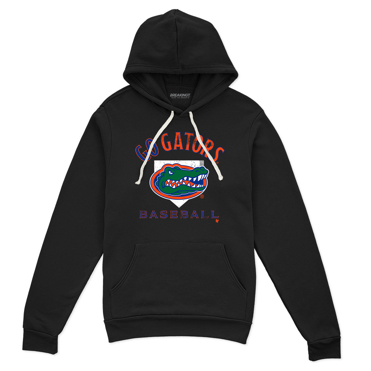 Florida Baseball: Home Plate 3