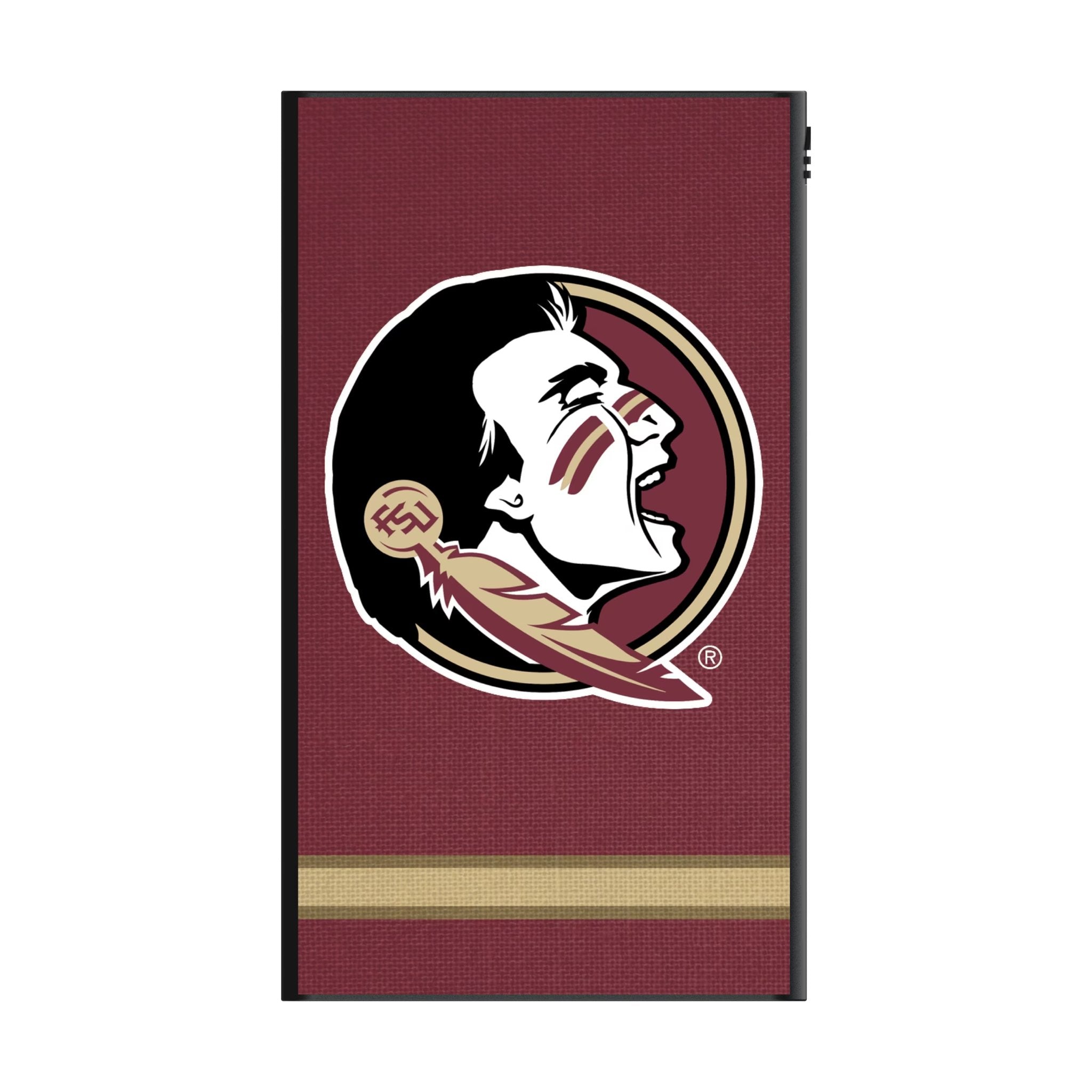 Florida State University Seminoles Stripe 5000mAh Flat Powerbank 2