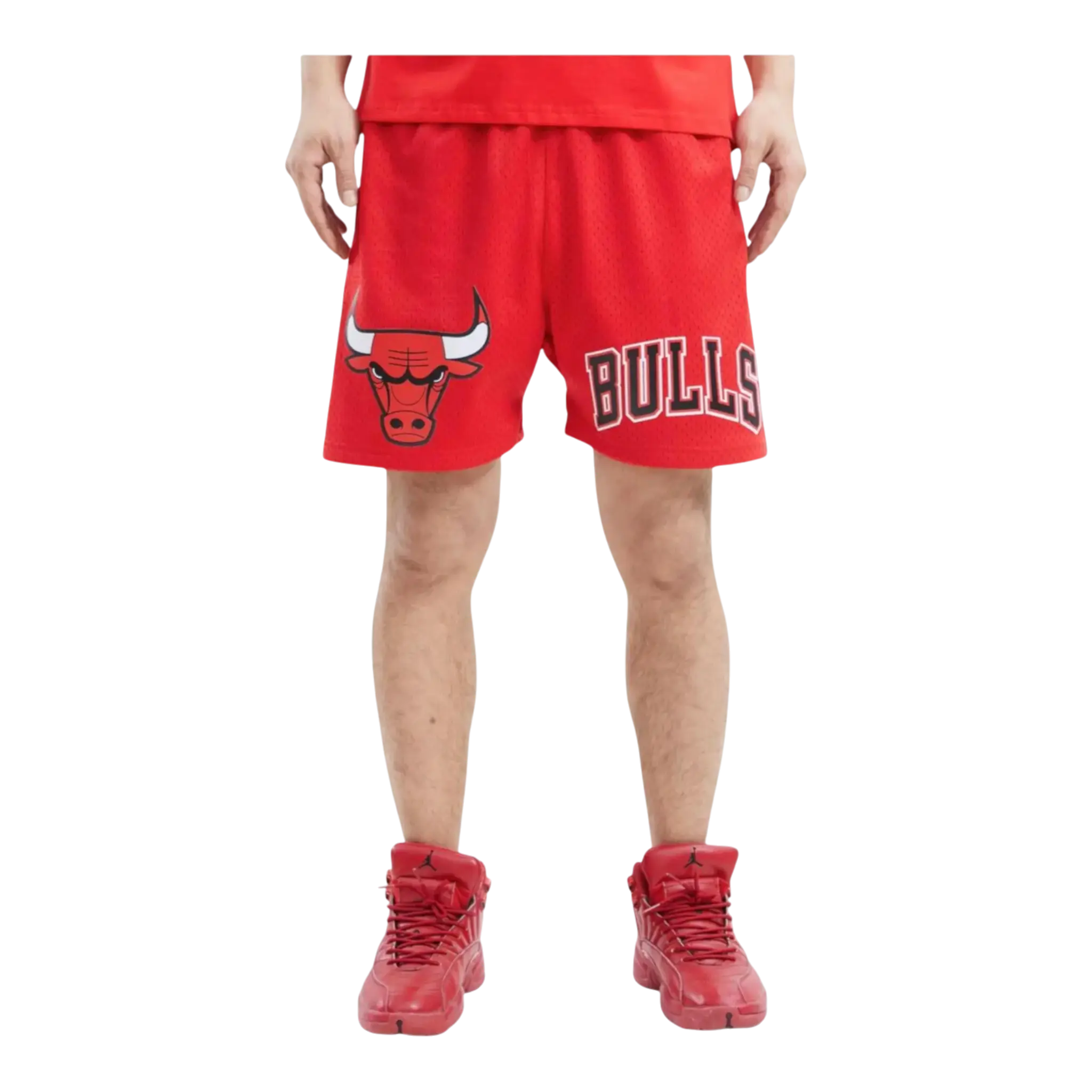 Pro Standard NBA Chicago Bulls Logo Men Mesh Shorts Red 1