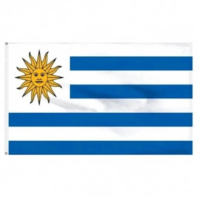 3x5 Country Flag - Uruguay 1